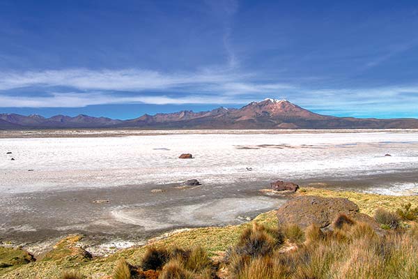 <p>Quiborax manifiesta interés por salares de Ascotán y Surire y grupo Errázuriz y Lithium Chile por Coipasa</p>