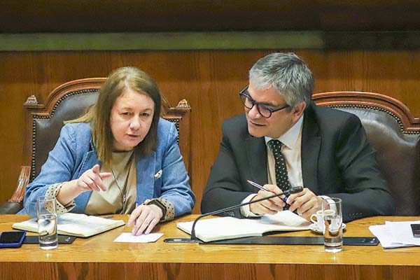 <p>Subsecretaria de Hacienda, Heidi Berner, junto al titular de la cartera, Mario Marcel. Foto: Agencia Uno </p>