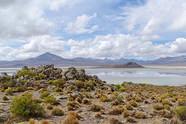 <p>CDE demanda a Quiborax por 37 años de daño ambiental "irreparable" en Salar de Surire</p>