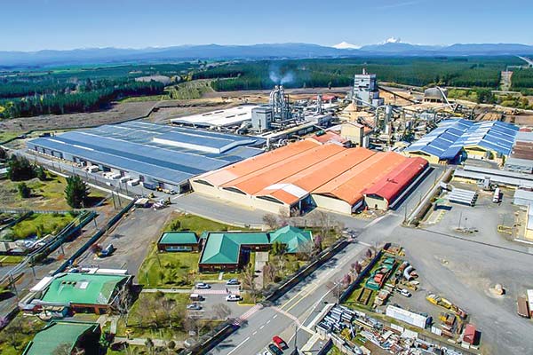 <p>Arauco rompe la inercia en industria forestal local e invierte US$ 100 millones en planta de tableros en Ñuble</p>