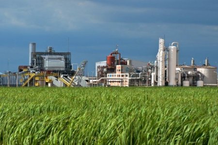 Duro revés para el Grupo Gloria: regulador peruano niega autorización para comprar Agrícola Chira por "restricción significativa de la competencia"