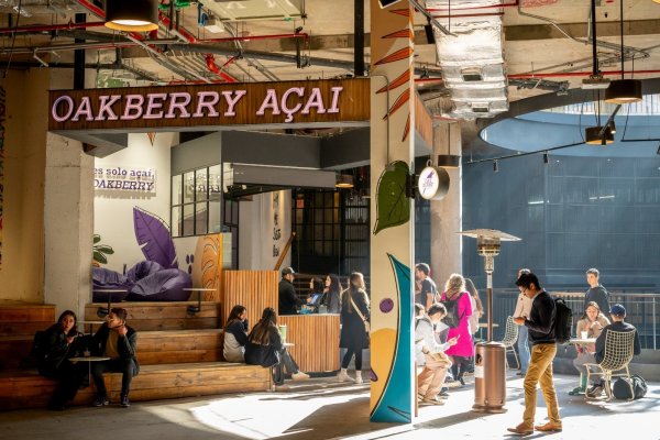 Los chilenos tras la llegada de la cadena brasileña de açaí Oakberry y su acelerado plan de expansión