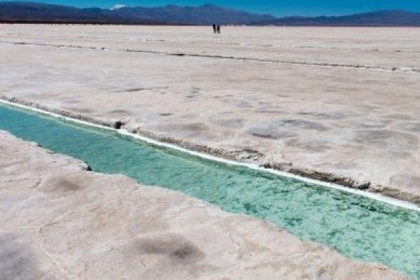 <p>Chile considerará 81 declaraciones finales de interés de firmas extranjeras y nacionales para desarrollar nuevos proyectos de litio</p>