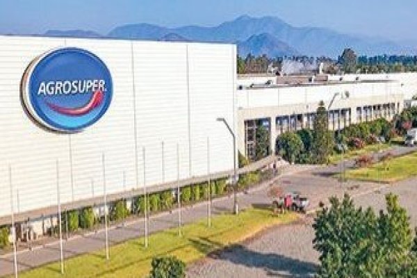 <p>Los costos de Agrosuper tras el cierre de envíos de pollo y pavo a China</p>