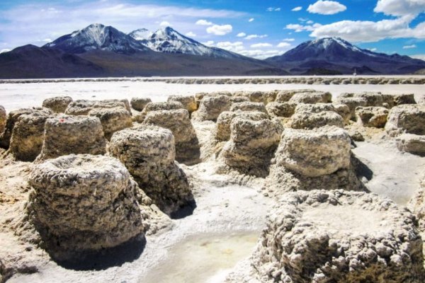 <p>Foto: Primer Tribunal Ambiental.</p>