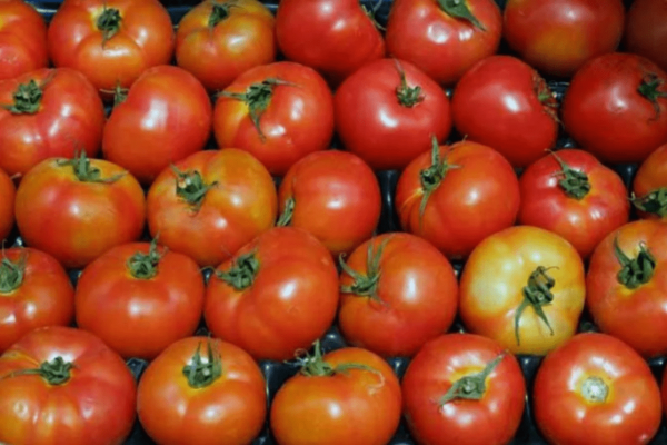 <p>El valor de la Canasta Básica de Alimentos vuelve a superar los $ 68 mil de la mano del tomate</p>