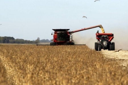 Actividad económica de Argentina creció 2,3% en mayo y rompe con seis meses consecutivos de caída