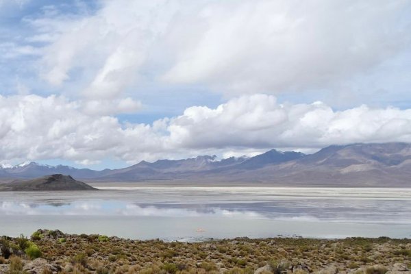CDE acuerda tregua de 45 días con Quiborax para buscar avenimiento en demanda por daño ambiental en Salar de Surire