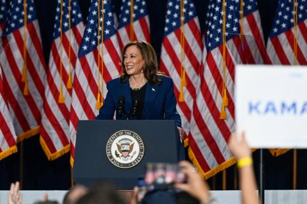 <p>Kamala Harris será designada oficialmente como la candidata presidencial demócrata antes de la convención del partido</p>