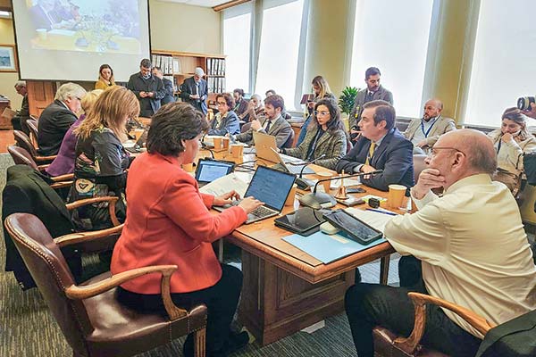Subsidio eléctrico: senadores reavivan críticas a mesa técnica y Gobierno se compromete a tomar su conducción