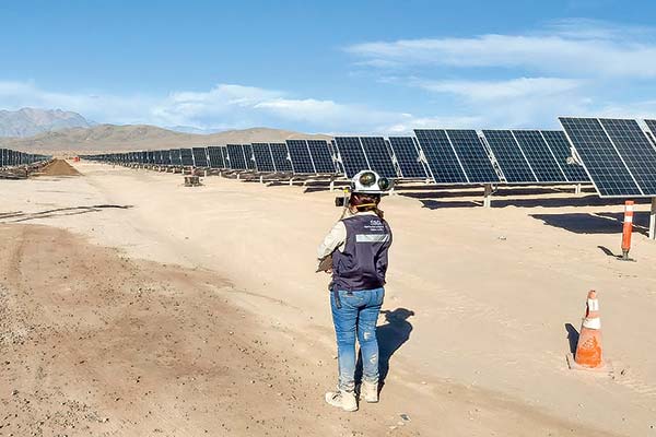 Primer Tribunal Ambiental autoriza detención de obras del proyecto fotovoltaico Taruca por riesgo a golondrina de mar negra