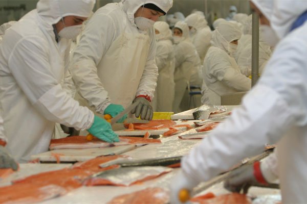 <p>La industria terminó en mal pie el primer semestre y cayó arrastrada por la manufactura</p>