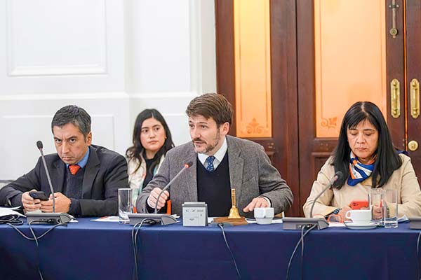 <p>Ministro de Energía, Diego Pardow, en la mesa técnica.</p>