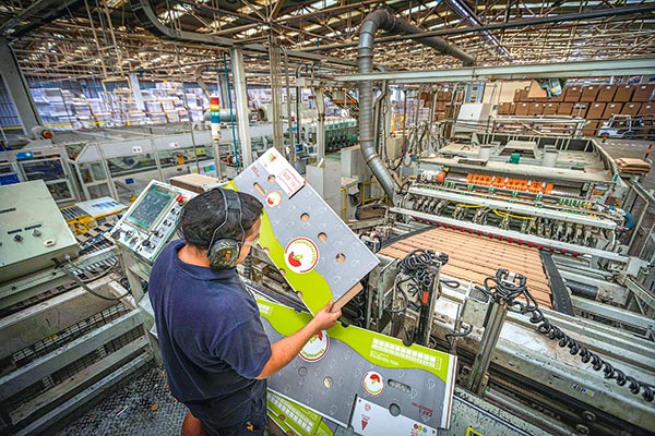 <p>Acciones de CMPC caen más de 3% y cierran en mínimos de seis meses tras decepcionantes resultados del segundo trimestre</p>