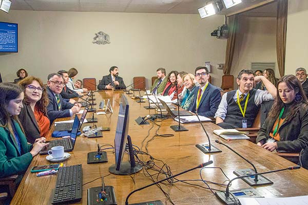 <p>En la comisión del miércoles de esta semana, dos de los tres invitados formularon reparos al Consejo Asesor Técnico de IA. Foto: Evelyn Huinao Guzman</p>