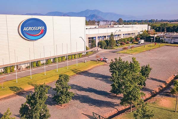 Agrosuper invertirá US$ 180 millones este año y planea aumentar producción de salmón