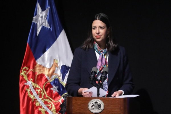 <p> Georgiana Braga-Orillard, representante residente de PNUD Chile,</p>