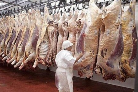 Frigoríficos argentinos en alerta por caída del consumo de carne y pérdida de competitividad para exportar