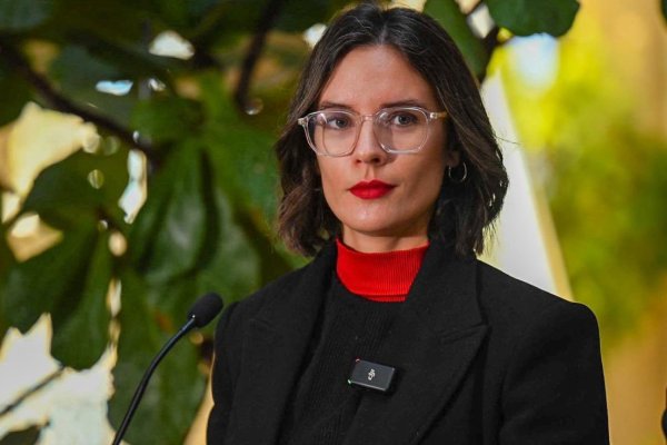 <p>Vallejo afirma que Grau y Pardow enfrentan dificultades por “irresponsabilidad e indolencia de algunas empresas”</p>