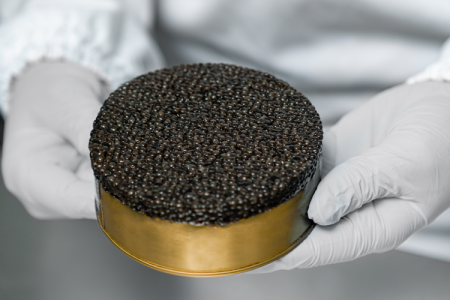 La creciente industria del caviar en Latinoamérica se prepara para el primer aumento de ventas en años