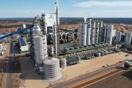 Industria de la celulosa invertirá más de US$ 19 mil millones a 2028 en Brasil
