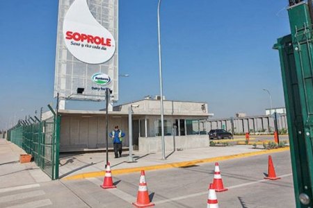 Chilena Soprole profundiza estrategia tras llegada de peruana Gloria y lidera crecimiento en la industria lechera