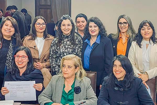 <p>La subsecretaria de Economía, Javiera Petersen, expuso en la comisión de Mujeres y Equidad de Género de la Cámara.</p>