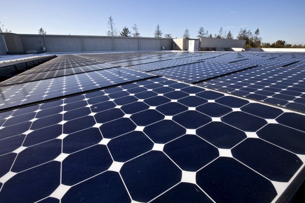 Más empresas cleantech fracasan a medida que surgen desafíos en la recaudación de fondos