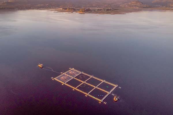 <p>Graiph busca escalar su solución de monitoreo geológico con IA para la industria salmonera</p>