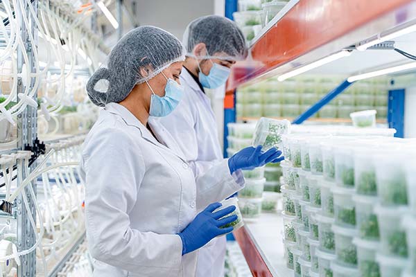 Biotech cierra ronda con family offices ligados a Saval y GTD y se abre paso en la industria farmacéutica mundial