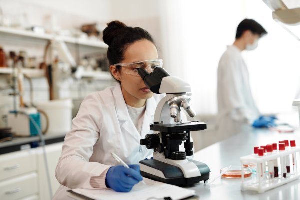 <p>En 2023, 704 empresas fueron certificadas para hacer uso de la Ley I+D. Crédito foto: Corfo</p>