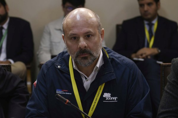 Renuncia el director nacional de Conaf, Christian Little, en medio de presiones y críticas tras megaincendio
