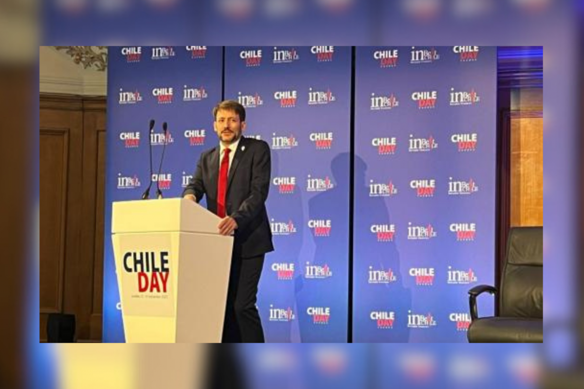 <p>En el Chile day: La subida de tono de los PMGD contra el gobierno por subsidio eléctrico</p>