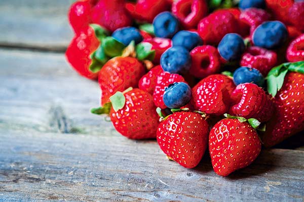 <p>Agroberries acuerda compra de gigante europea y se transforma en la segunda mayor comercializadora de berries del mundo</p>