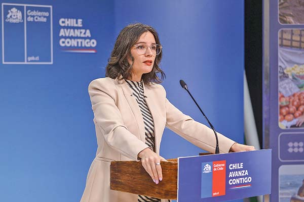 Vallejo responde a Mewes por críticas en conflicto con PMGD: “Tiene que ver con conocer la realidad del país ante una situación extraordinaria”