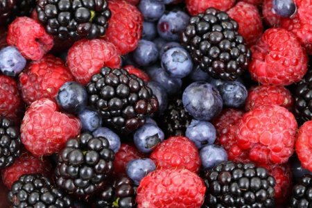 Chilena Agroberries acuerda compra de gigante europea y se transforma en la segunda mayor comercializadora de berries del mundo