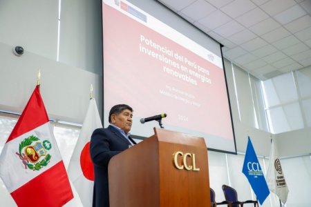 Cámara de Comercio de Lima destaca potencial de Perú en proyectos de energías renovables: existen 12 proyectos con una inversión de US$ 600 millones