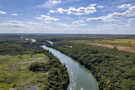 Chilena Arauco da el vamos a la mayor inversión de su historia: planta de celulosa en Brasil por US$ 4.600 millones