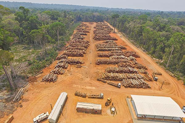 <p>Arauco y decisión de invertir en Brasil: “En 14 meses obtuvimos la licencia ambiental” para planta de celulosa</p>