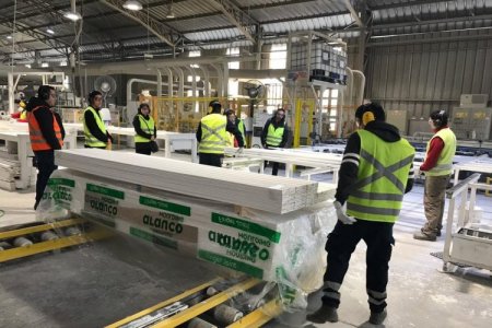 Chilena Arauco y decisión de invertir en Brasil: “En 14 meses obtuvimos la licencia ambiental” para planta de celulosa