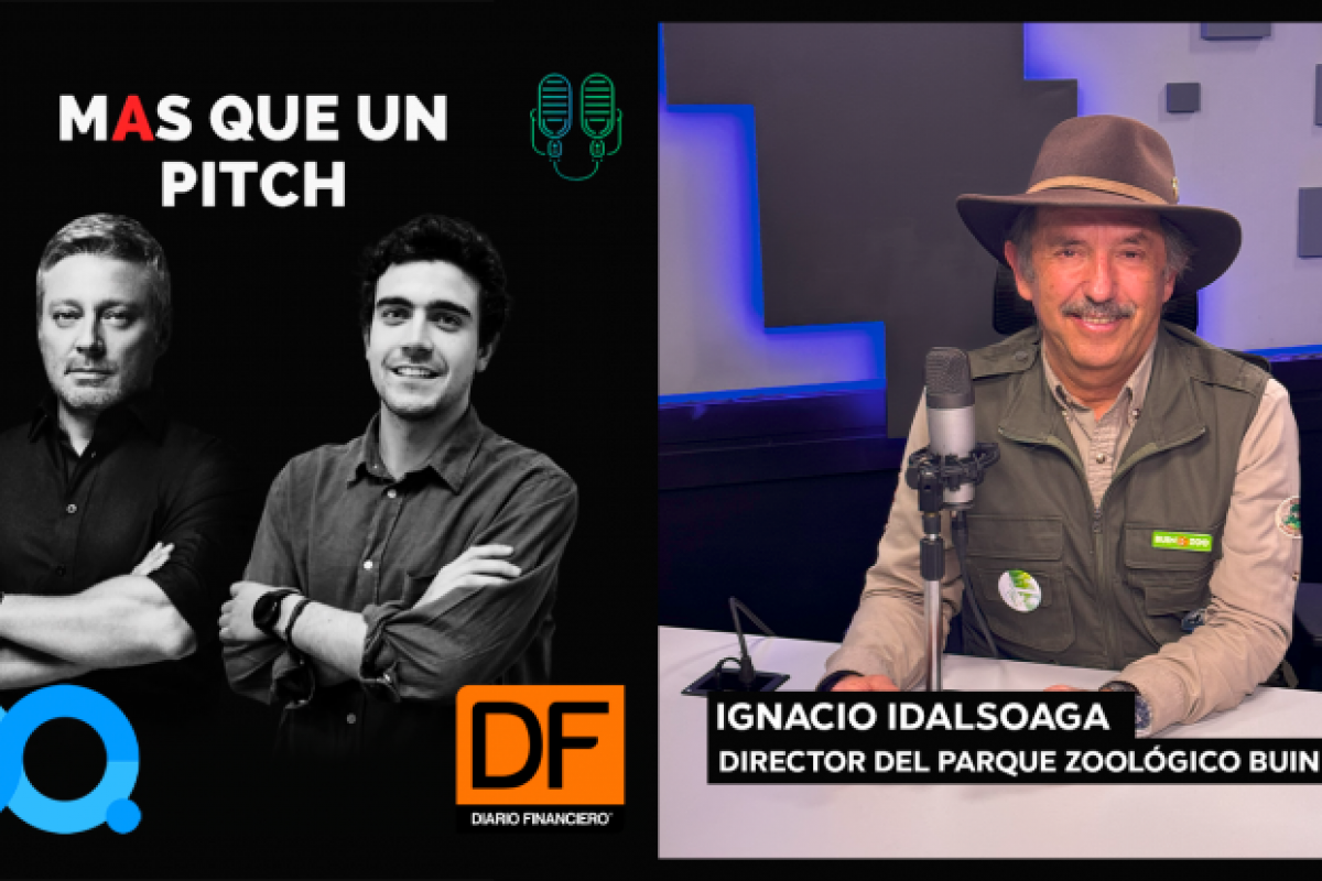 <p>🎙️DF MAS en Infinita | Ignacio Idalsoaga, director del Parque Zoológico Buin Zoo: “Decidimos instaurar esto como un refugio y casa de acogida”</p>