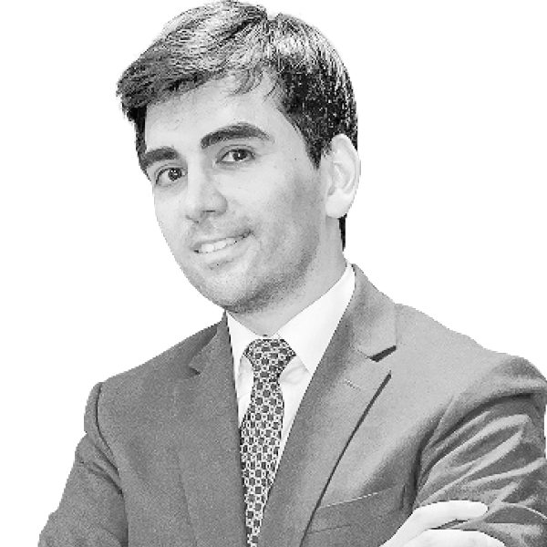 La justicia corporativa en la Ley de Delitos Económicos