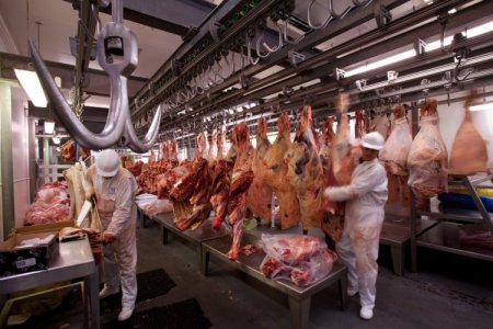 Cuatro frigoríficos argentinos entrarán con sus carnes a China