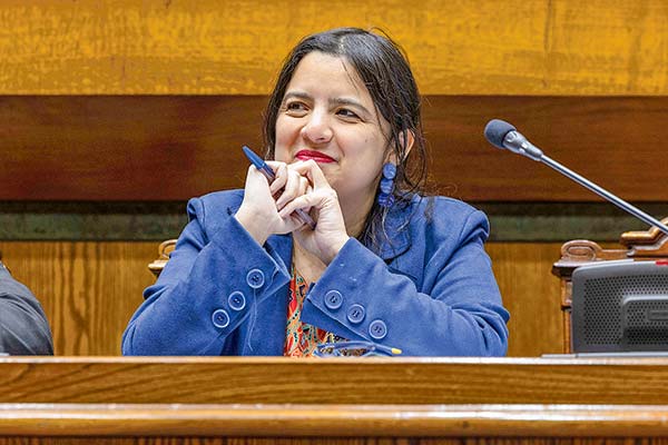 <p>Javiera Martínez, titular de la Dirección de Presupuestos (Dipres). Foto: Senado</p>