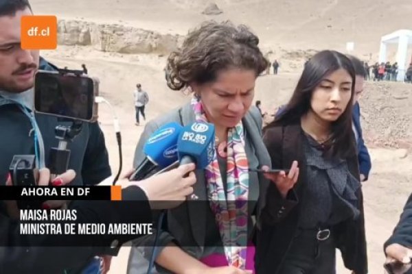 Ahora en DF | Ministra Rojas sobre despido de director regional de Antofagasta por proyecto de Colbún: "Fue una decisión autónoma del SEA"