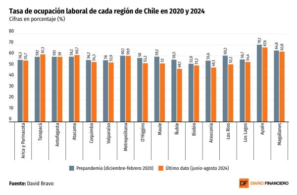 <p>DATA DF | Ñuble, Los Ríos y La Araucanía son las regiones que están más en deuda con la recuperación del empleo</p>