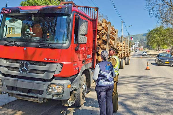 <p>La fiscalización de la comercialización de madera ha sido una de las prioridades del servicio, por las actividades del crimen organizado.</p>