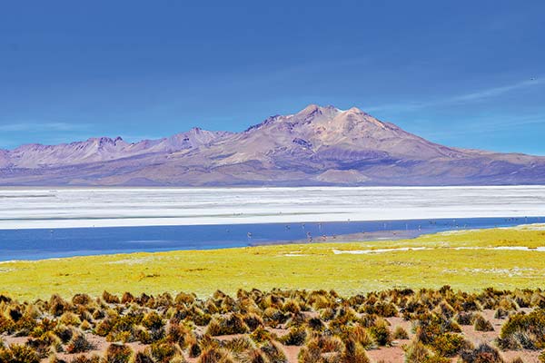 <p>Tercera mayor productora de boro del mundo lleva 26 días con faenas paralizadas por demanda del CDE</p>