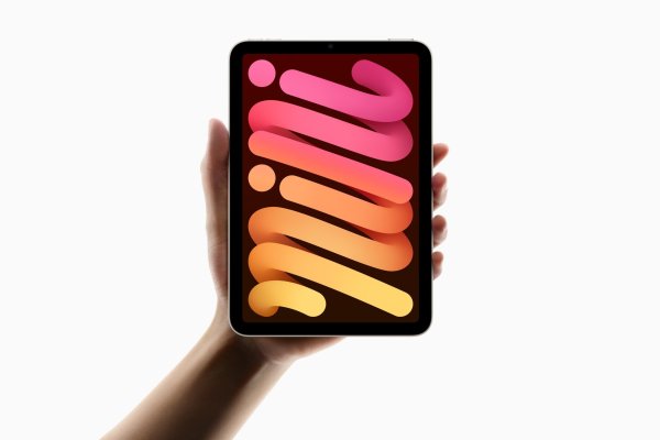 <p>Apple</p>