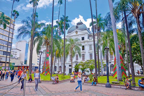 COP16: las claves del encuentro de biodiversidad que pone a Latinoamérica al centro